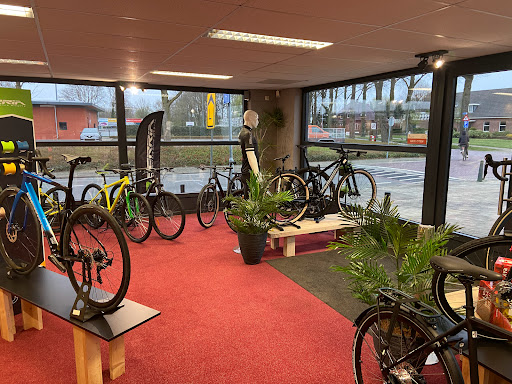 MTHBIKES - Visual