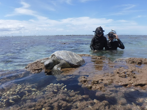 Maui Island Surf and Snorkel - Thumbnail