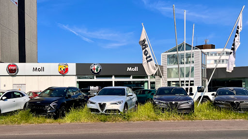 MOLL AUTOMOBILE GMBH & CO. KG Fiat - Thumbnail