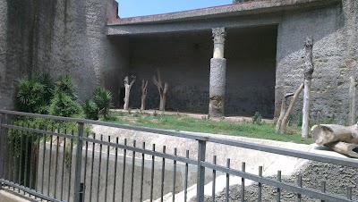 Photos of The Naples Zoo