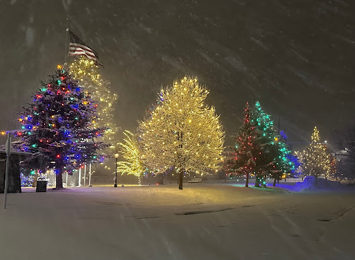 Flag Pole Park - Visual
