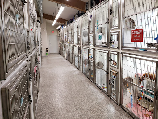 Central Dakota Humane Society - Thumbnail