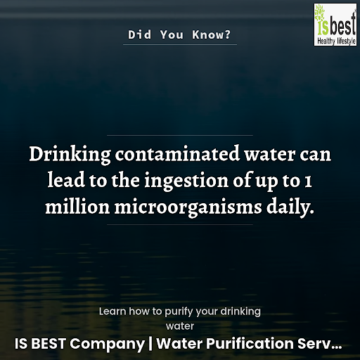 Did You Know? post image