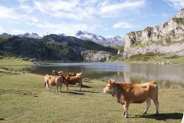 Lagos de Covadonga