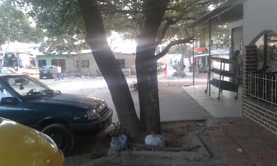 park