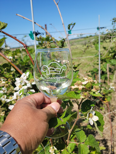 Davenport Orchards & Winery - Thumbnail