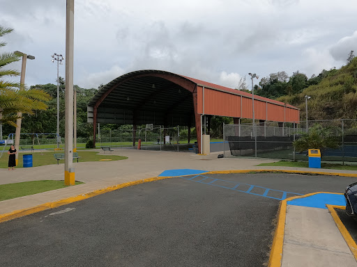 Complejo Deportivo y Pista Cedro Arriba