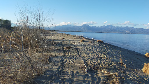 Foce del fiume Crati - Thumbnail