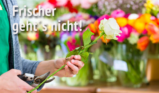 Blumenversand-Edelweiss.de - Visual