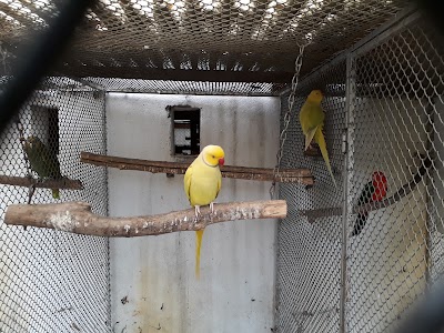 Photos of Birdgarden