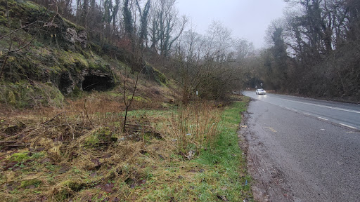 Brushfield - Visual