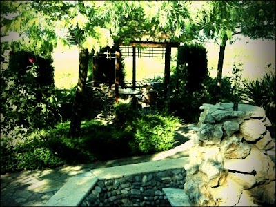 Photos of Bar - Restaurant Antiku