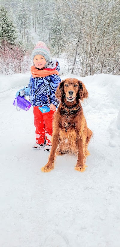 Lyme Veterinary Hospital