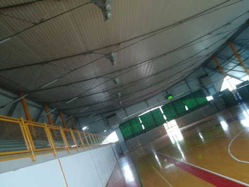 PalaSIR - Visual