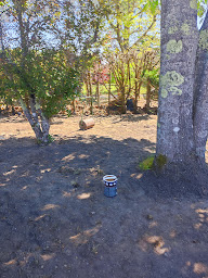 Photo n°9 de V.mane.tp à Saint-Médard-de-Guizières (Entreprise de terrassement)