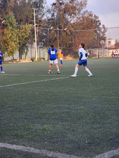 Cruz Azul Tlalnepantla Escuela Oficial Gallery - Mexico