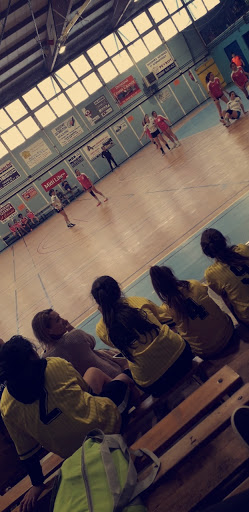 C.O.S.E.C. (Complexe Sportif Evolutif Couvert)