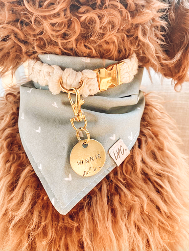 Luxury Pup Co. - Thumbnail