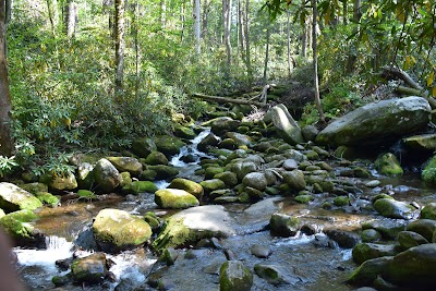 Grotto Falls Parking