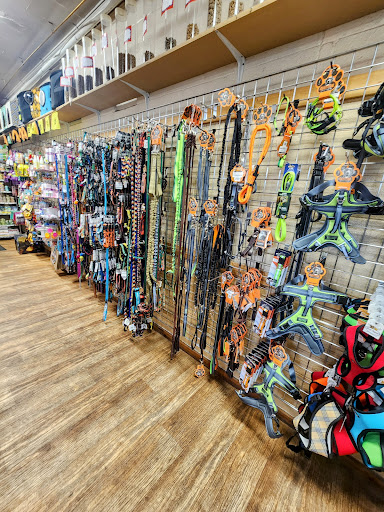 Moab Barkery - Visual