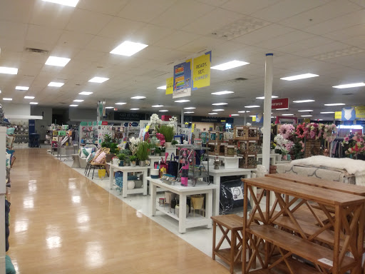 Hamden Mart - Visual