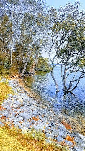 Hibbard Reserve - Thumbnail