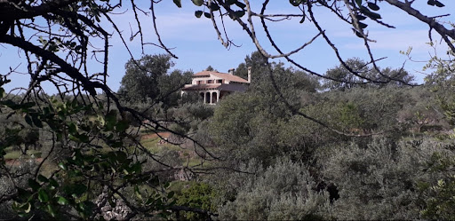 Finca Eldorado - Visual