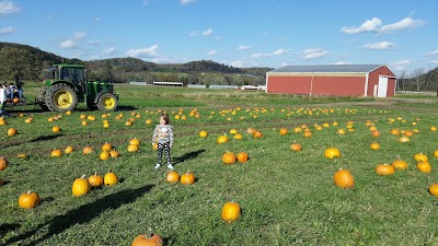 Photos of Yarnick's Farm