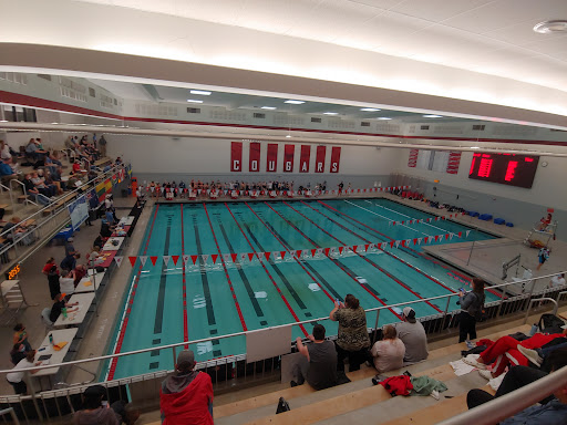 Gibb Pool - Visual