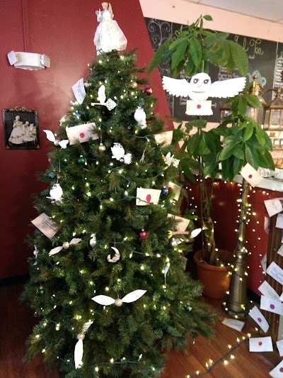 Photos of Caffe Amadeus Roast & Brew