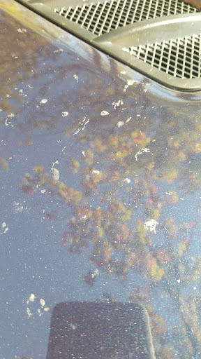 Paradise Valley Car Wash and Detail Center - Thumbnail