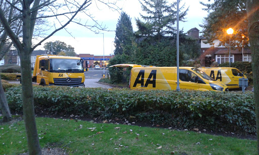 The AA - Thumbnail