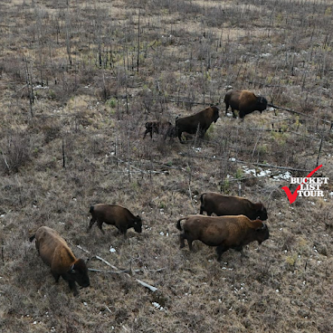 Bucket List Tour by null