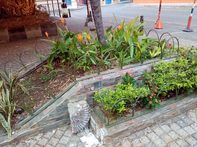 Photos of Plaza de San Diego