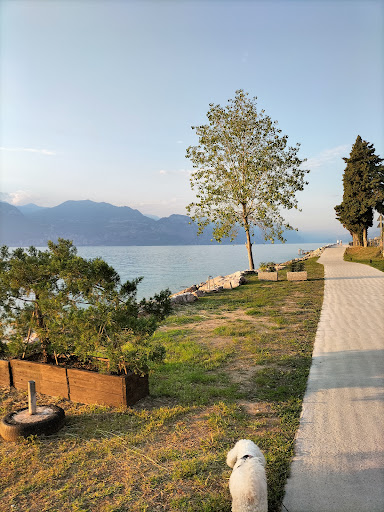 Brenzone Via Alighieri I B - Thumbnail