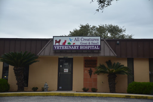 All Creatures Great & Small Veterinary Hospital - Thumbnail