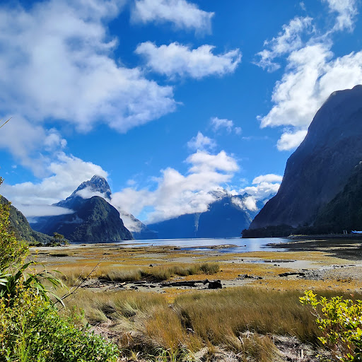 Discover Milford Sound Cruises Information Centre & Café - Thumbnail