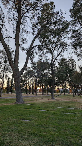 Tucson Cemetery Association - Thumbnail