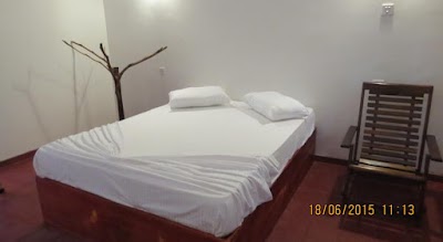 Photos of Sinharaja Birder's Lodge