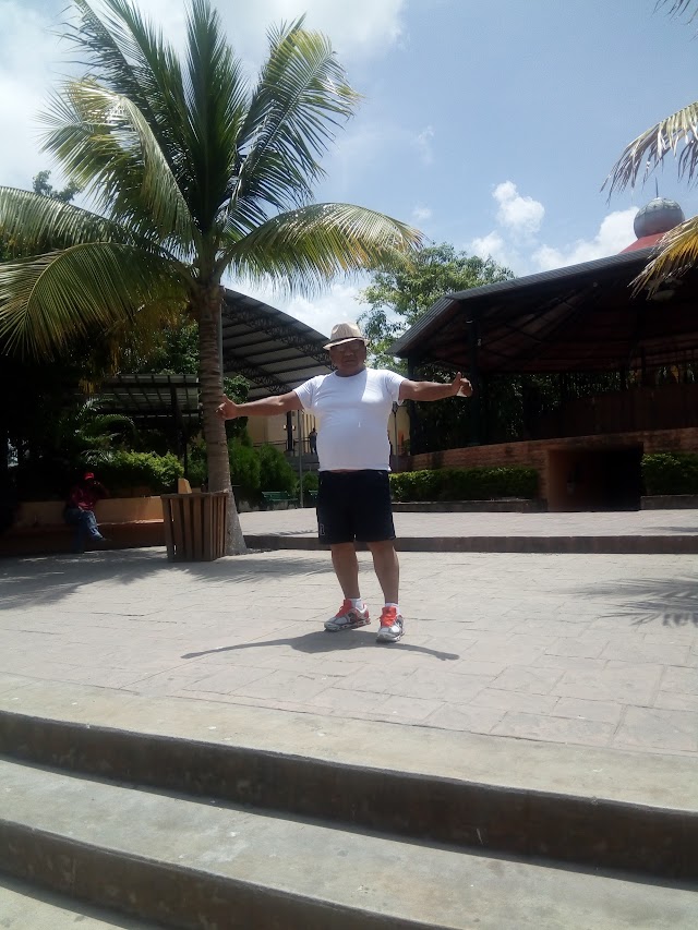 Terminal Lineas Unidas