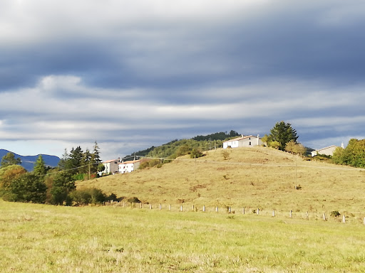 Colline Verdi - Thumbnail