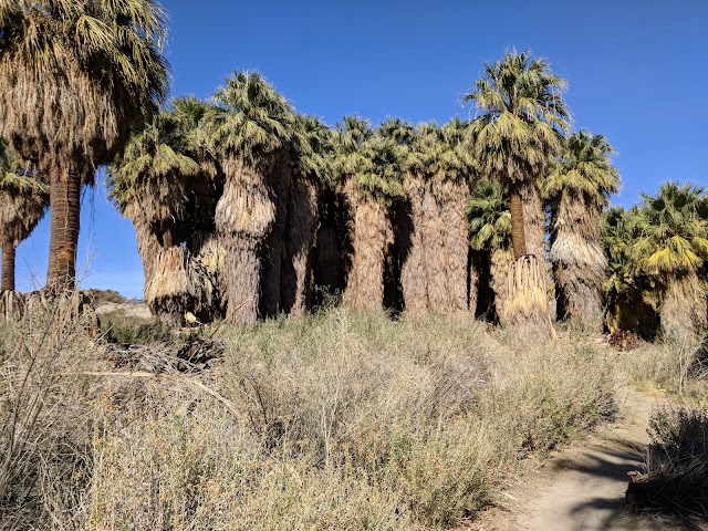 Place around image