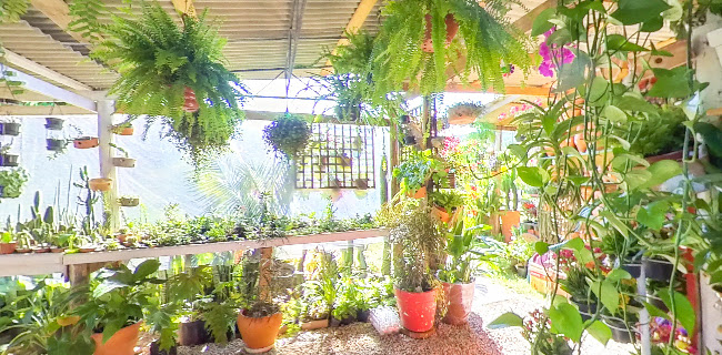 Comentários e avaliações sobre Floricultura Mundo Verde