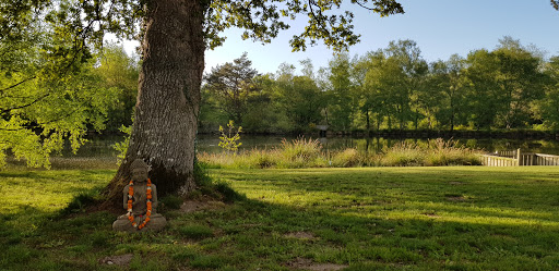 Photo de Institut Spa Brocéliande à Paimpont (35380)