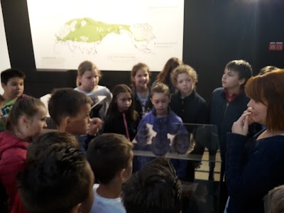 Photos of City Museum Sisak