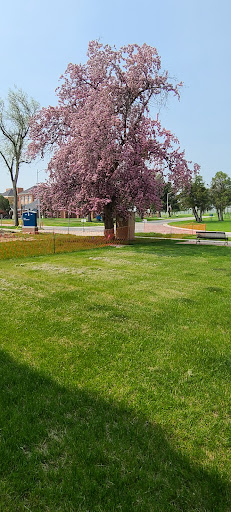 Building 86 - Visual