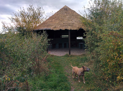 Fiskerton Fen Nature Reserve - Thumbnail