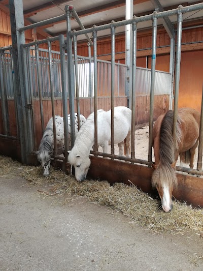 Photos of Anita&acute;s Reiterhof