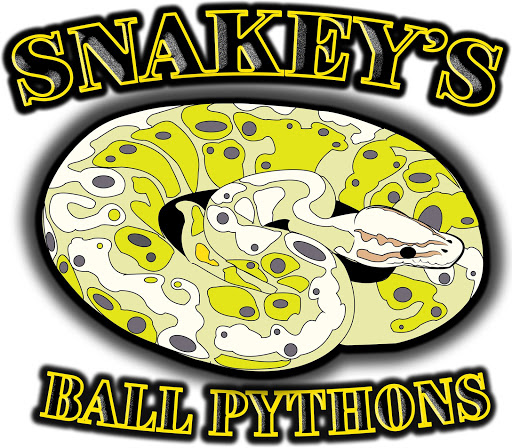 Snakey's Ball Pythons