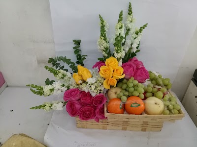 Photos of Amaryllis Flower & Gardening